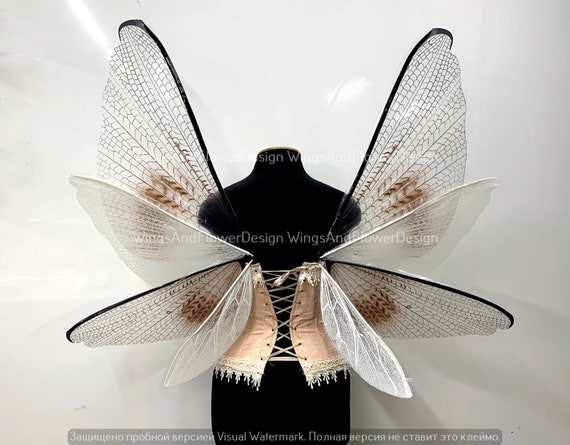 Transparent Fairy Wings: Butterfly Moth Elf Halloween  display picture 1