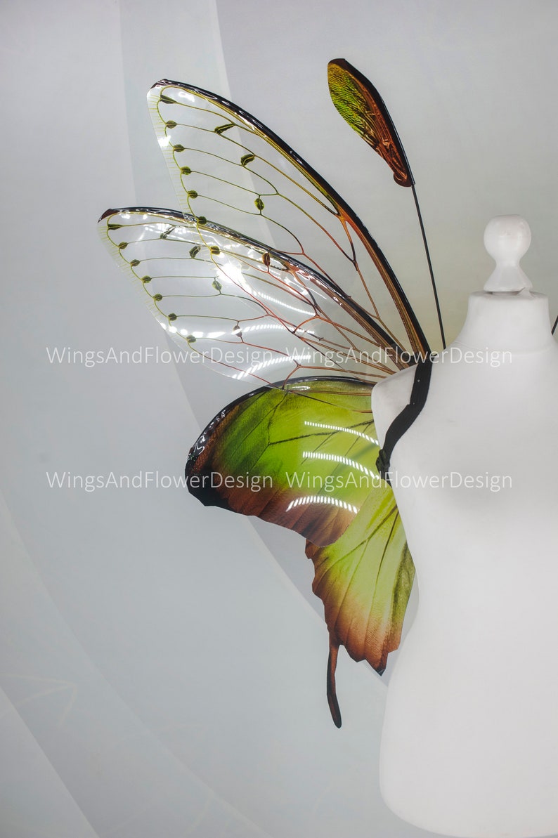 Butterfly green wings, forest fairy wings, fairy wings, wings Photo Prop, wedding wings, butterfly magical fairy wings, fantasy halloween image 6