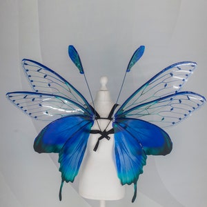 Blue Butterfly Wings: Forest Fairy Costume, Photo Prop