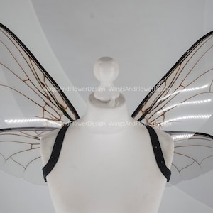 Fly brown black beetle wings, elf fairy wings, wings Photo Prop, wedding wings, butterfly fairy wings, fantasy halloween, magical fairy