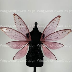 Cicada Wings: Fairy Elf Wings, Photo Prop, Halloween Costume