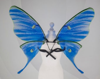 Luna Moth Wings: Blue Green Eyespots, Fairy Costume Wings
