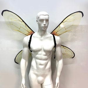 Transparent bee wings, insect wings, fairy wings, wings Photo Prop,  beetle wings, butterfly fairy bee wings, fantasy halloween