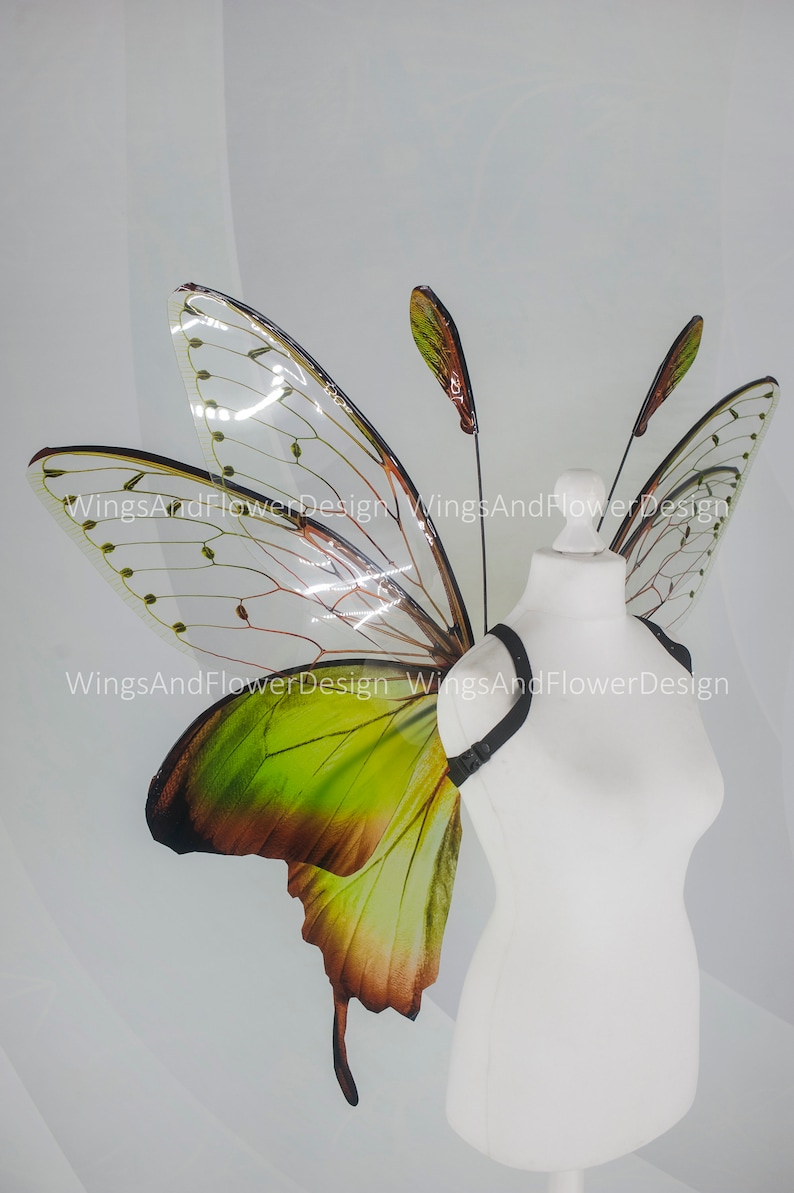 Butterfly green wings, forest fairy wings, fairy wings, wings Photo Prop, wedding wings, butterfly magical fairy wings, fantasy halloween image 5