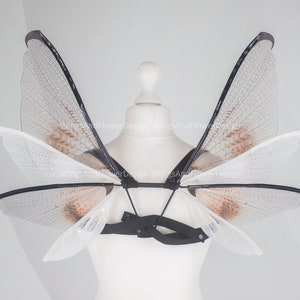 Small little transparent wings, moth wings, butterfly wings, elf wings, butterfly fairy wings, fantasy Halloween, magical fairy clear wings