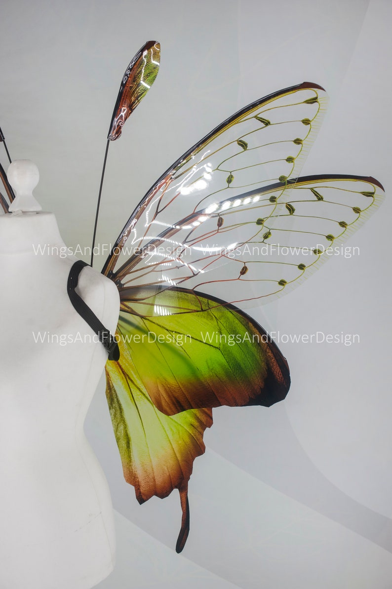 Butterfly green wings, forest fairy wings, fairy wings, wings Photo Prop, wedding wings, butterfly magical fairy wings, fantasy halloween image 10