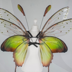 Butterfly green wings, forest fairy wings, fairy wings, wings Photo Prop, wedding wings, butterfly magical fairy wings, fantasy halloween image 1