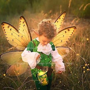 Cicada Wings: Fantasy Fairy Wings, Photo Prop, Halloween Costume
