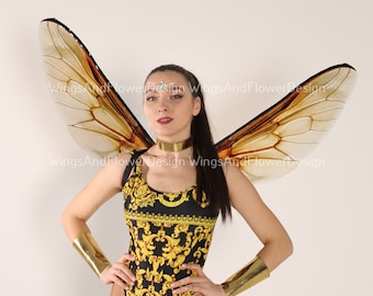 Transparent Bee Wings: Insect Fairy Wings Photo Prop