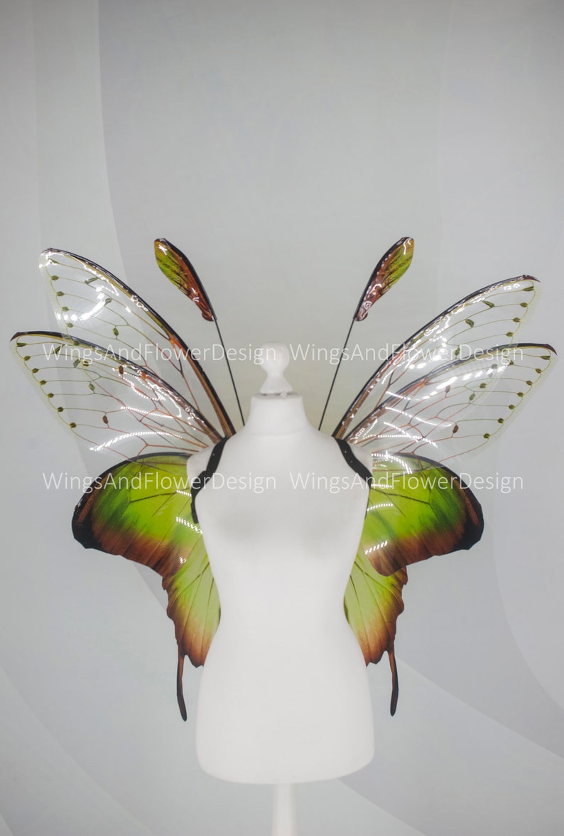 Butterfly green wings, forest fairy wings, fairy wings, wings Photo Prop, wedding wings, butterfly magical fairy wings, fantasy halloween image 2