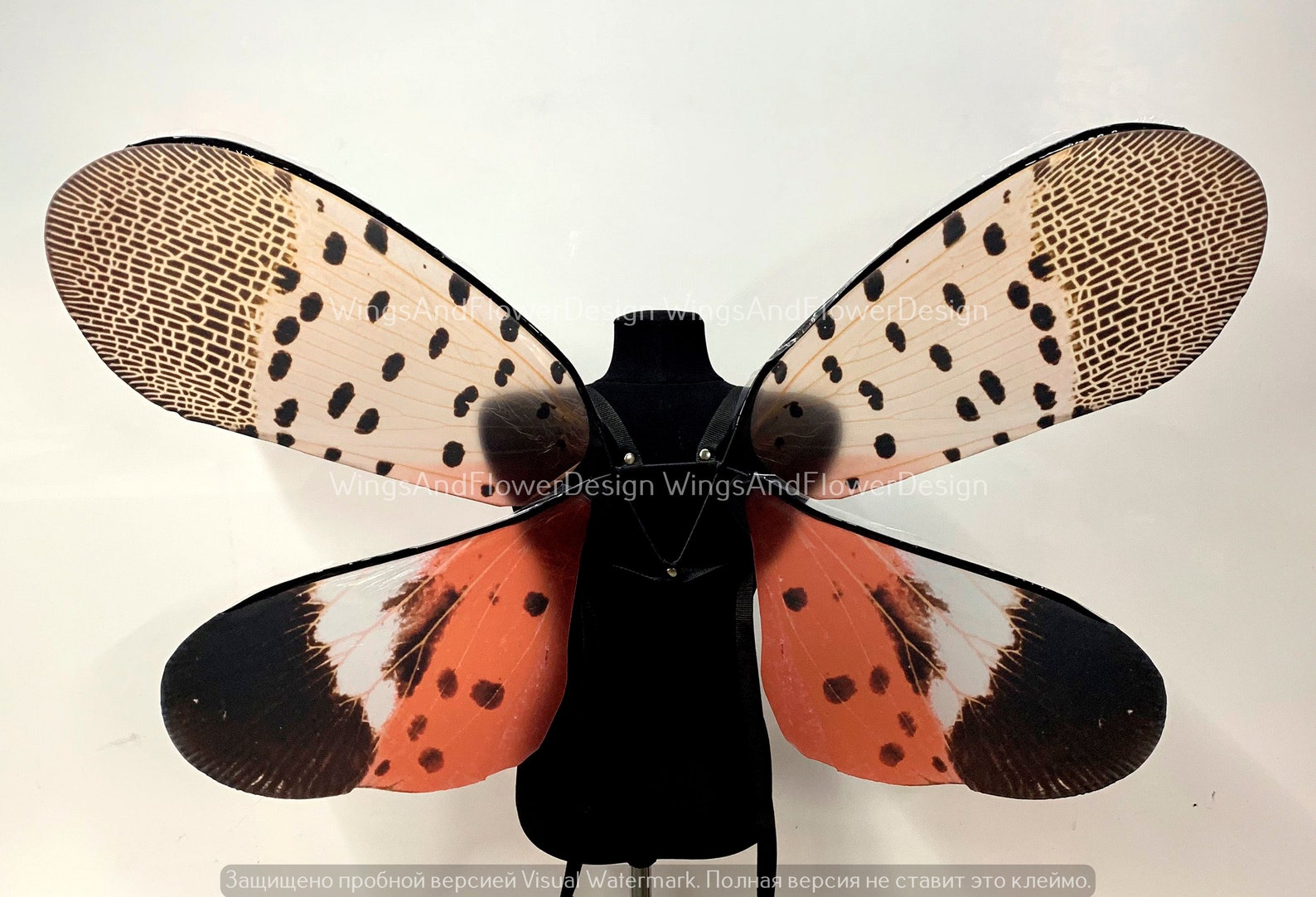Invasive Spotted Lanternfly Wings Insect Red Brown Wings - Etsy
