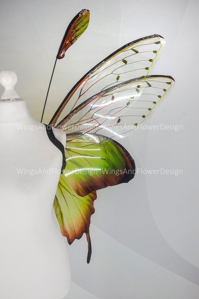 Butterfly green wings, forest fairy wings, fairy wings, wings Photo Prop, wedding wings, butterfly magical fairy wings, fantasy halloween image 7