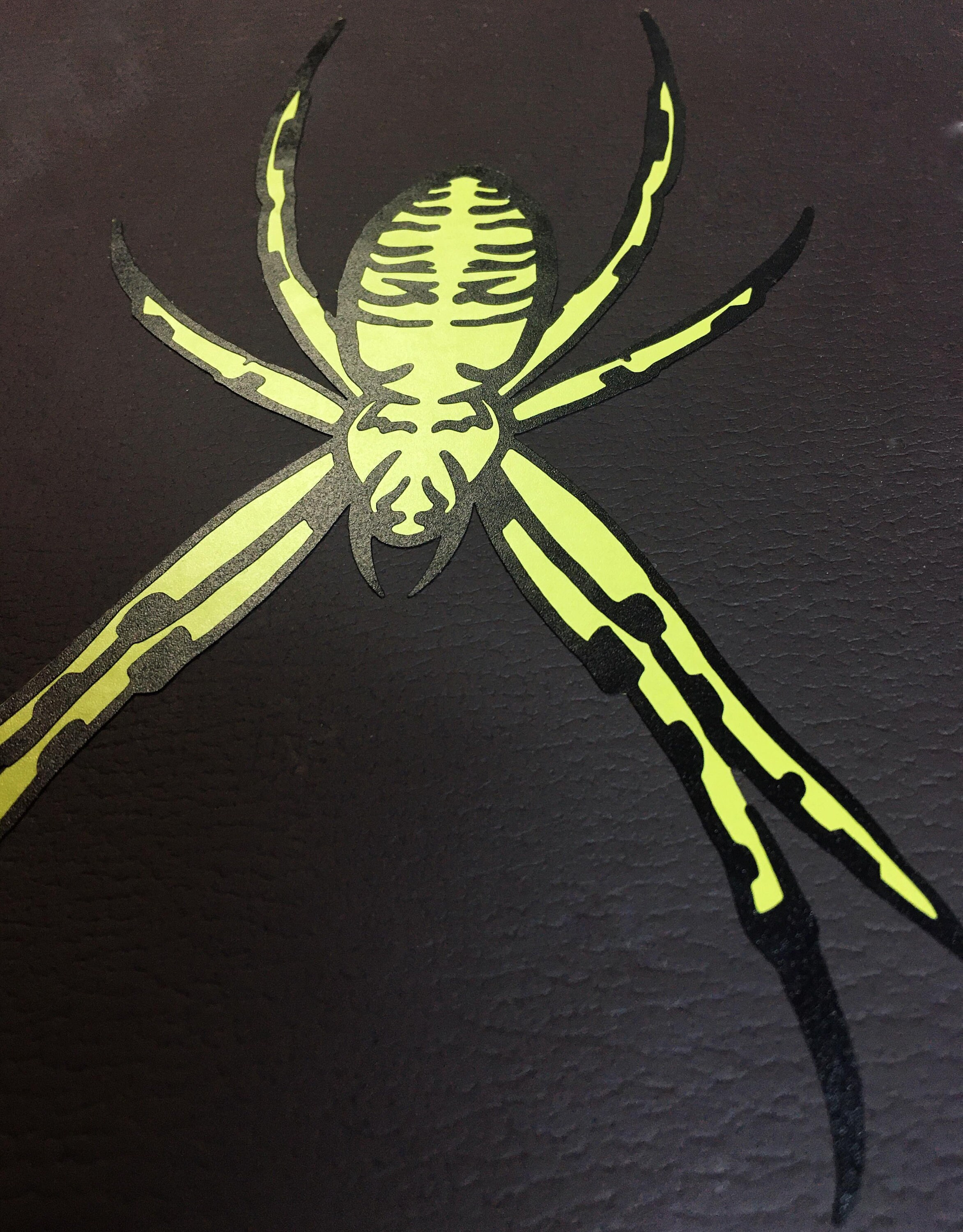 Garden Zig Zag Spider SVG, Two Layers, Easy to Weed , Digital Design