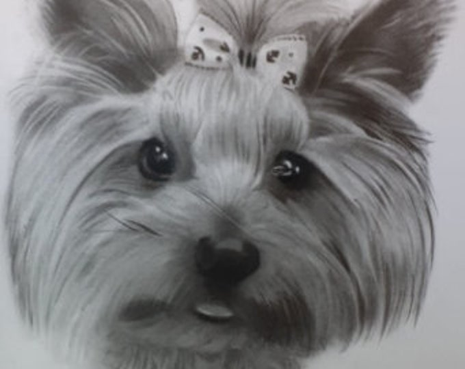 Custom Pet Portrait: Hand-Sketched Charcoal Drawing from Photo