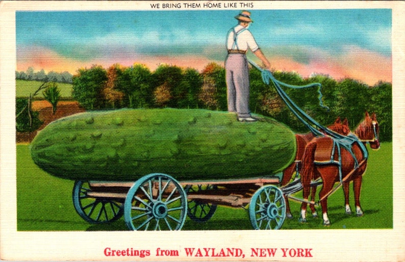 Greetings from Wayland New York Early Vintage Original Postcard