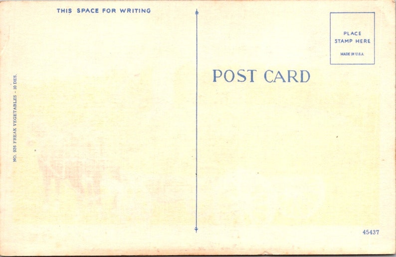 Greetings from Wayland New York Early Vintage Original Postcard