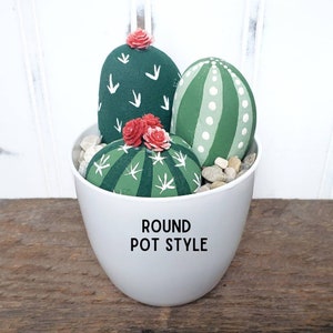 DIY Cactus Rock Painting Kit DIY Cactus Pot Kids Craft Project Supplies Party Activity Kit Succulent Decor Round