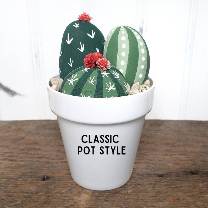 DIY Cactus Rock Painting Kit DIY Cactus Pot Kids Craft Project Supplies Party Activity Kit Succulent Decor Classic