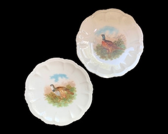 Ensemble de deux assiettes Bavaria, gibier à plumes, faisan et perdrix - vintage