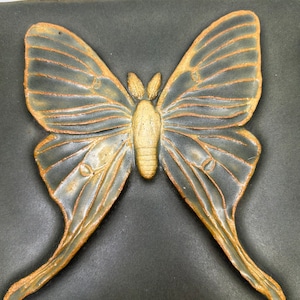 Könnte beinhalten: Keramik-Schmetterlingsskulptur mit dunkelgrauem Hintergrund. Der Schmetterling hat detaillierte Flügel in Grau- und Goldtönen mit einem goldenen Körper. Die Flügel sind weit ausgebreitet und zeigen komplizierte Adernmuster.