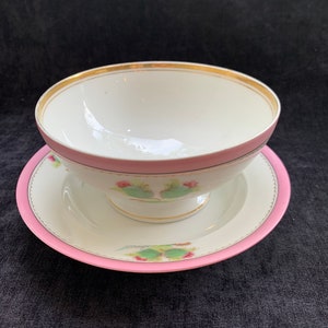 Charles Field Haviland Moss Rose Design, Bowl and Under Plate - 2 Piece Set - Antique 1870s