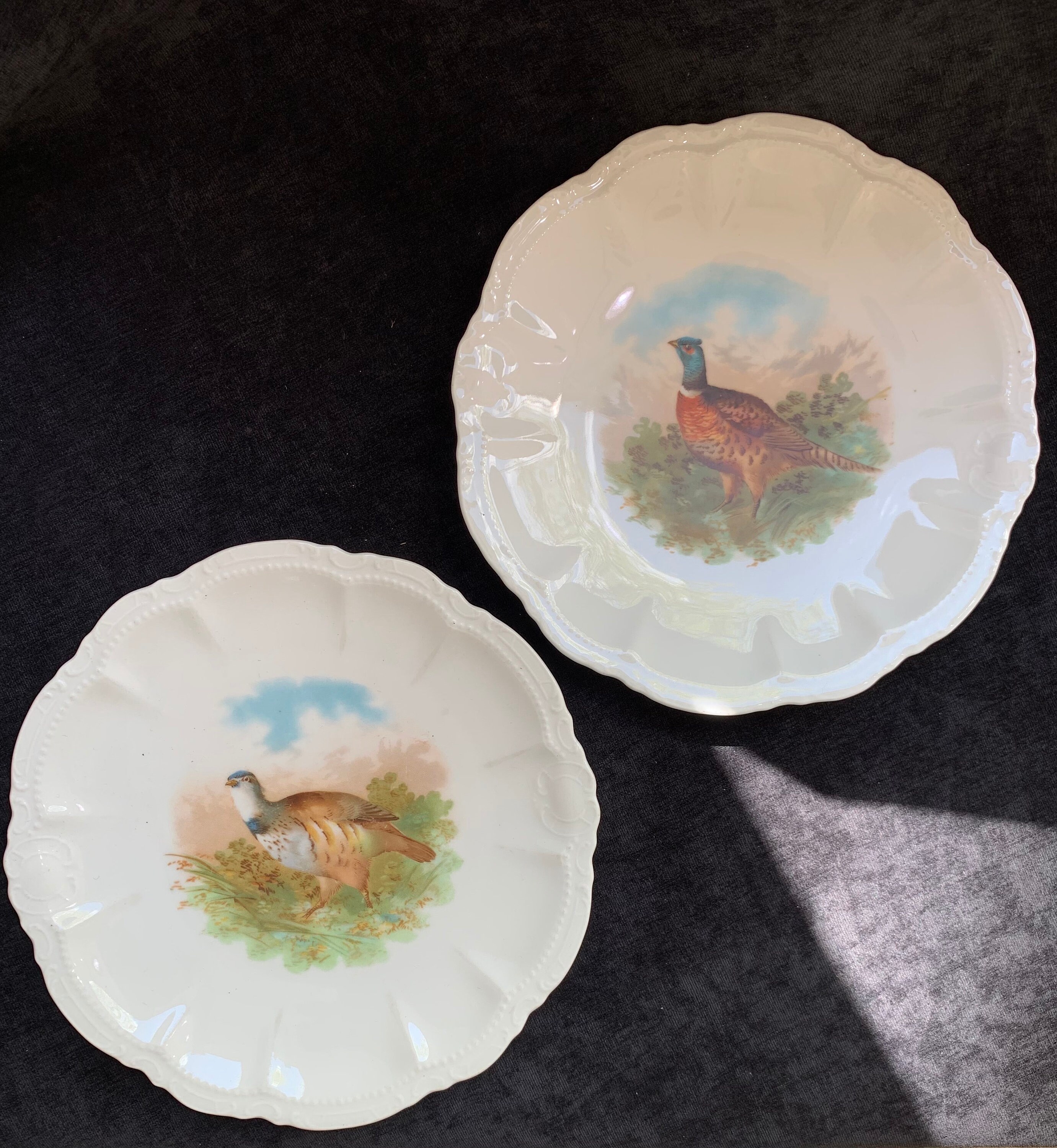 Vintage Bavaria Game Bird PlatesSet of Two Pheasant and Etsy