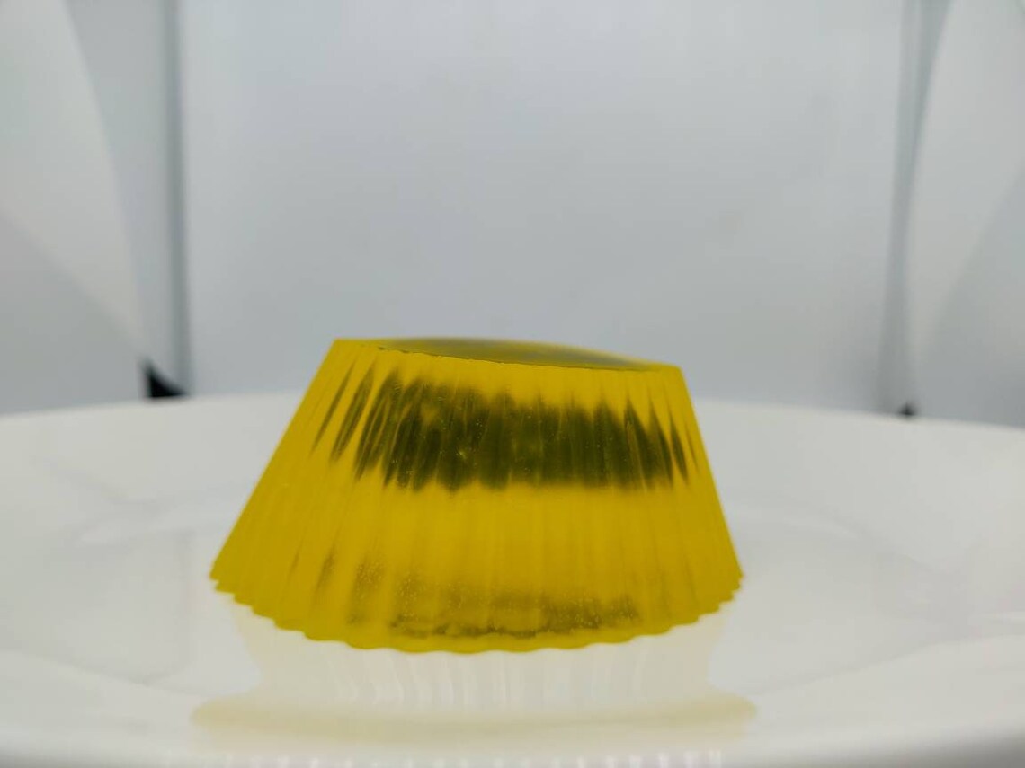 Stapler in Jello The Office Etsy