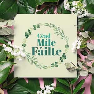 Céad Mile Fáilte - A Hundred Thousand Welcomes Gaelic Print Housewarming Gift Welcome Poster New Home Gifts House Present Buy Irish Art