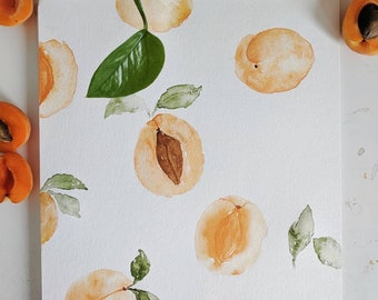 Apricot watercolor Aquarell Print in different sizes available