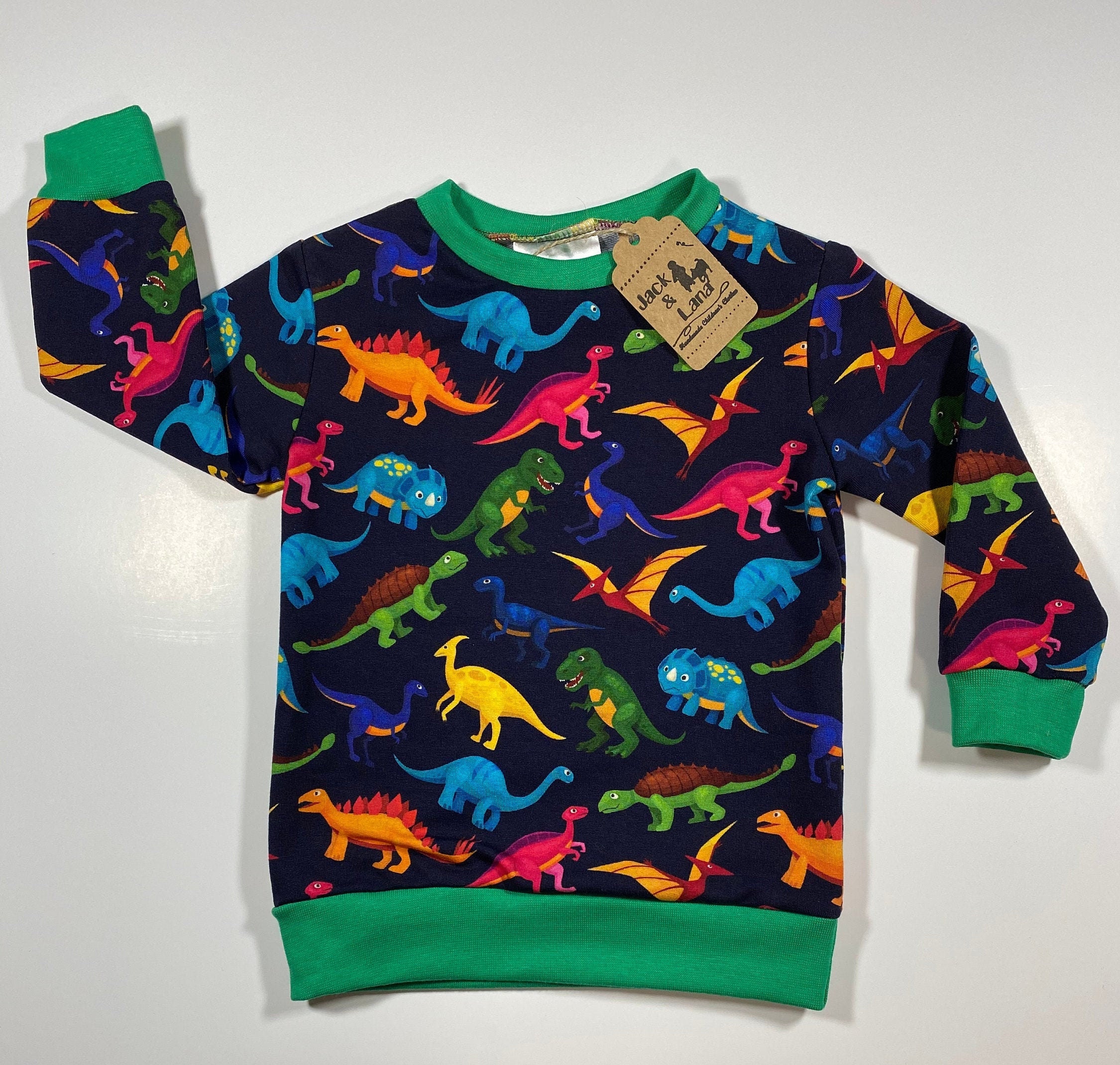Dinosaur Jumper Sweatshirt Pullover Dinosaur - Etsy UK