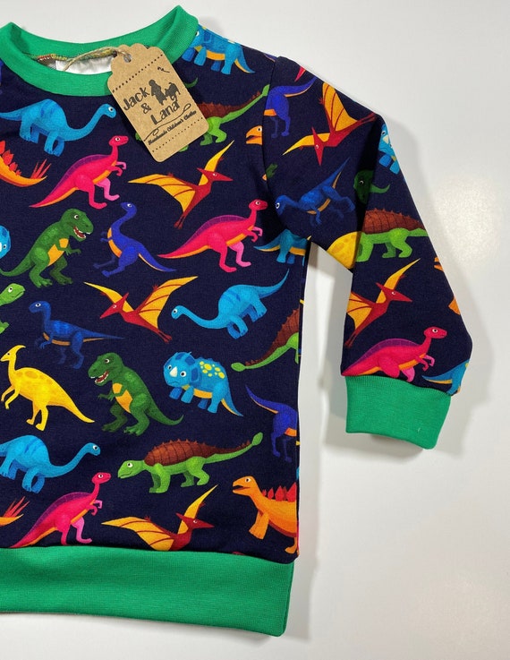 Dinosaur jumper sweatshirt pullover Dinosaur | Etsy