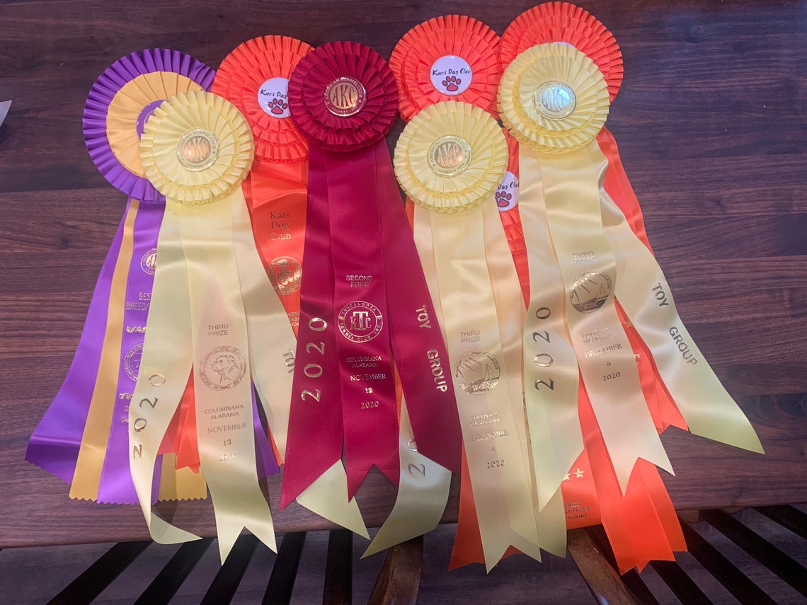 Stacking Blocks for Show Dogs Etsy