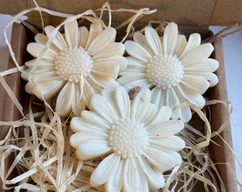 Large Flower Soy Wax Melts, Draw Fresheners, Wax Melts Infused with  Essential Oil, Gift Idea