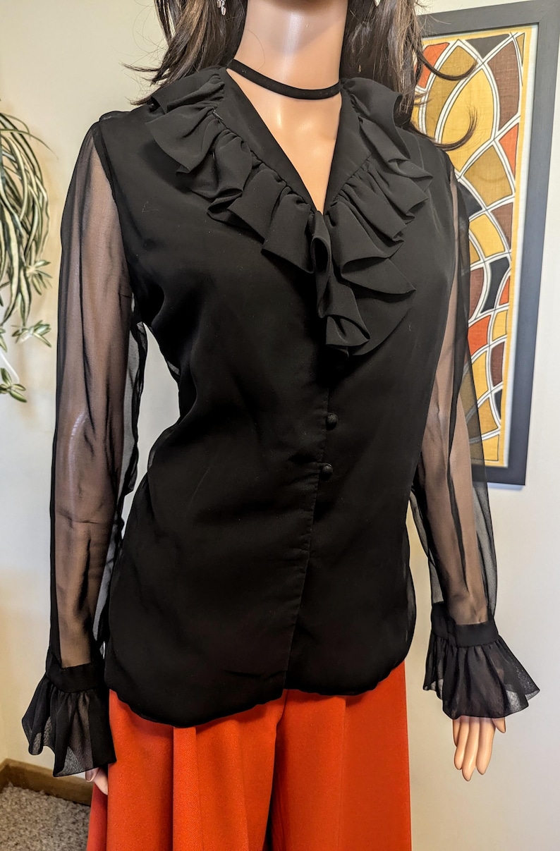 May include: Black blouse with a ruffled collar and sheer sleeves. The blouse has a V-neck and button-down front. The sleeves have ruffled cuffs. The blouse is paired with orange pants.