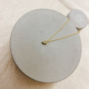 Small Shark tooth pendant Necklace