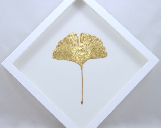 Featured listing image: GINKGO 'GINKGOHEART' real ginkgo leaf gold-plated