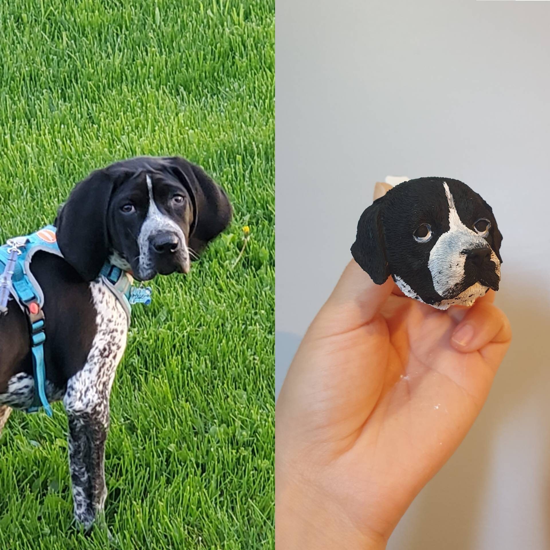 Custom Dog Car Air Freshener. Dogmaltese Poodle Retriever Etsy Canada