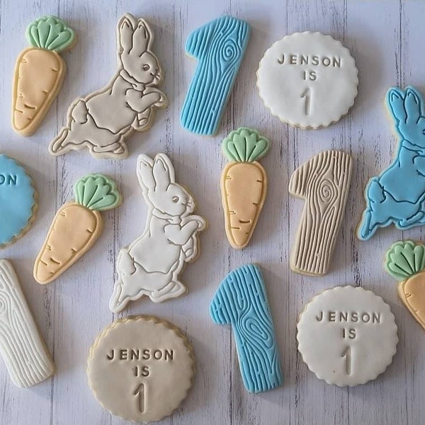 Peter Rabbit biscuits/ letterbox cookies/ peter rabbit / birthday biscuits / baby shower biscuits / child party