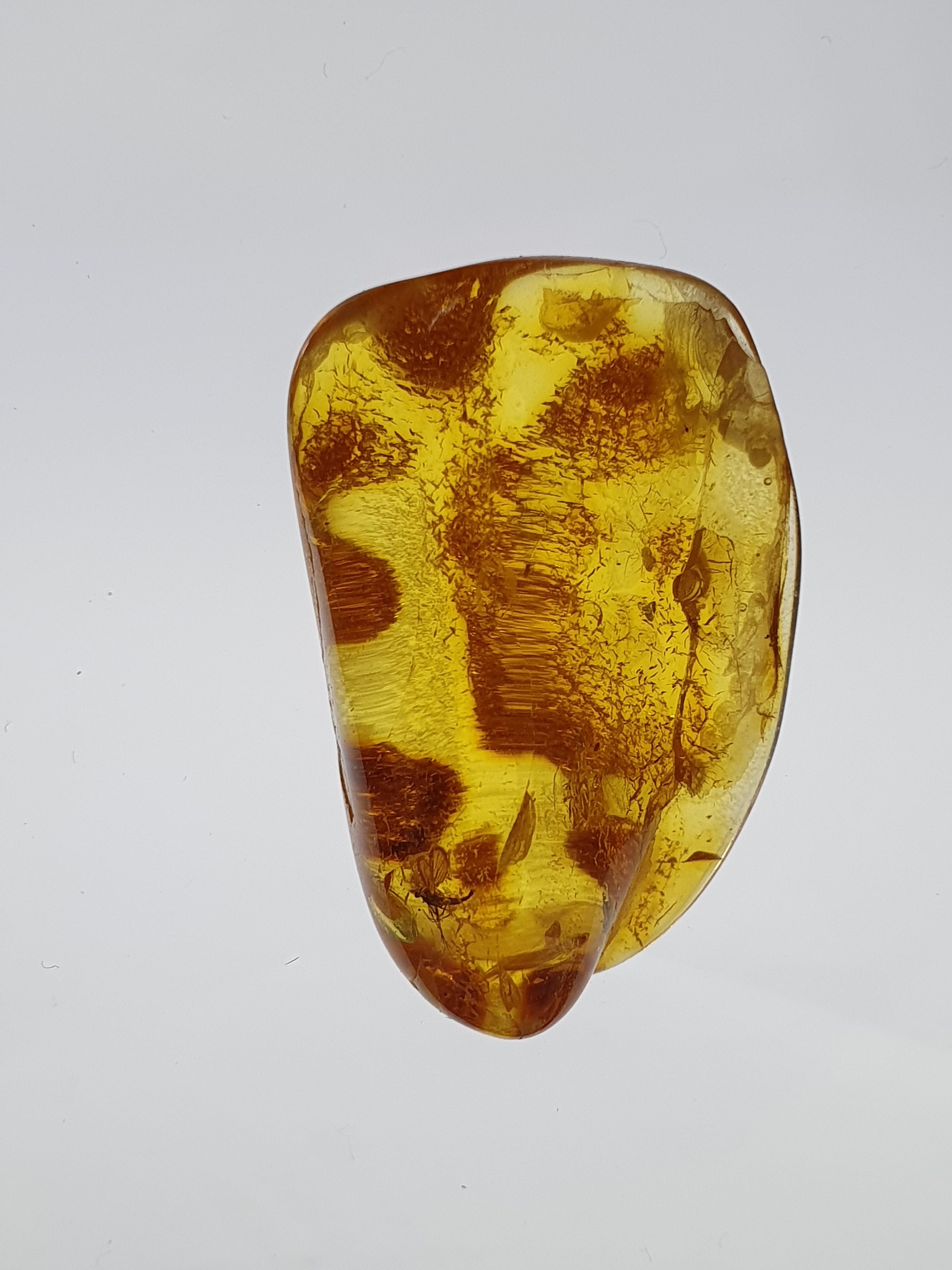 AMBERMILANA 4 Psc Natural Fossil Baltic Amber With Guadeloupe