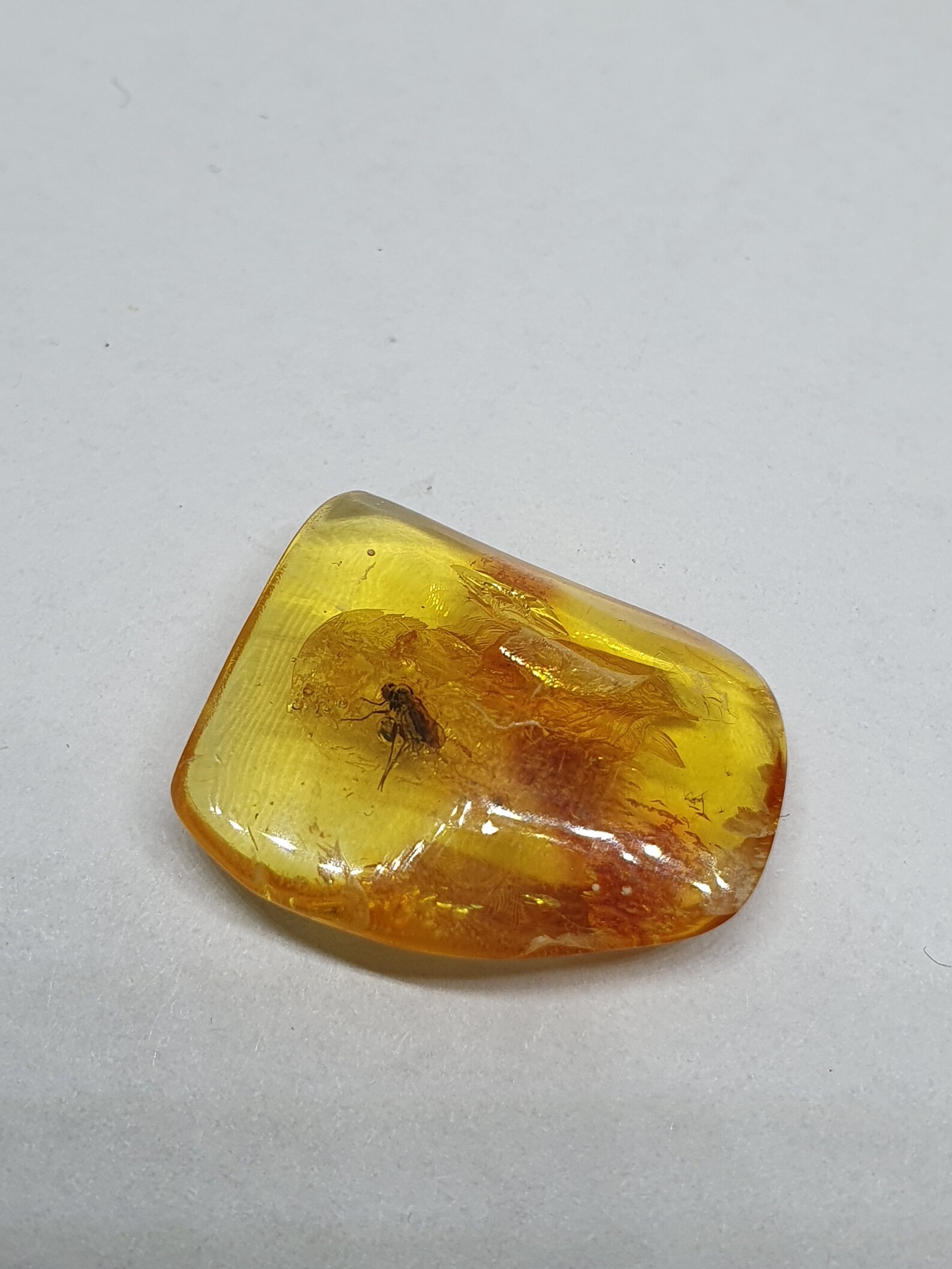 Ambra Fossile Con Insetti - Decorazione Con Scorpione E Ape, Pezzo Unico Per Collezionisti E Fai Da Te - Foto 2