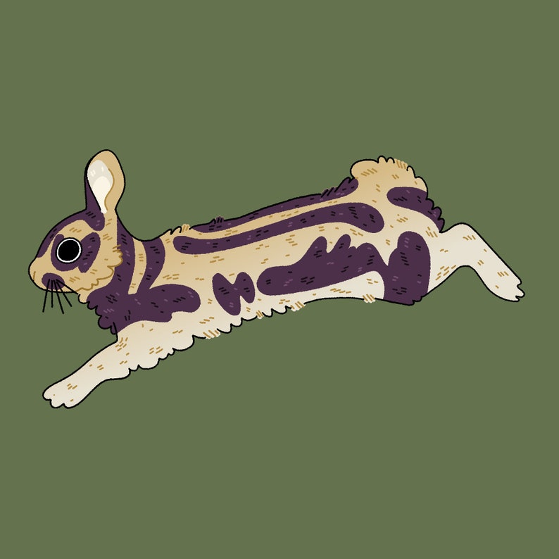 Sumatran Striped Rabbit Nesolagus netscheri Sticker Short-eared Indonesia Barisian Mountains Bunny Hare Biodiversity Conservation Endanger image 2