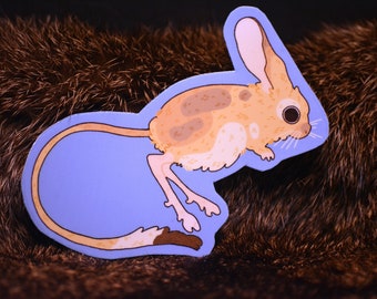 Jerboa (Allactaga tetradactyla) Desert Hopping Rodent Gerbil Mouse Animal Sticker Biodiversity Conservation