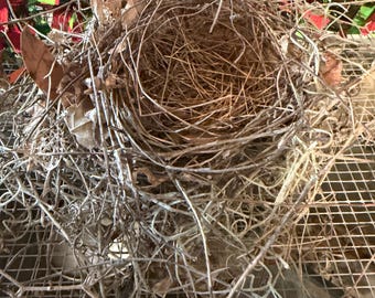 five inch house wren nest real nest collected from the wild woods
