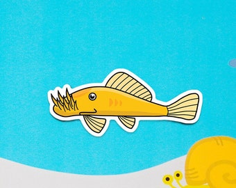 Bristlenose Pleco -  Matte waterproof weatherproof scratchproof sticker, decoration, fishkeeper, diary fancy sticker