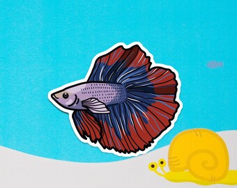 Betta fish (Siamese fighting fish) -  Matte sticker, fishkeeper, fish lovers, aquarist, tropical fish, fish decor, fish decals, water bottle