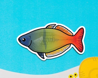 Boesemani rainbowfish -  Matte waterproof weatherproof scratchproof sticker, decoration, fishkeeper, diary fancy sticker