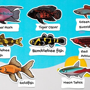 Assorted fish sticker pack waterproof paper sticker, aquarium sticker, decoration, fishkeeper, diary fancy sticker image 5