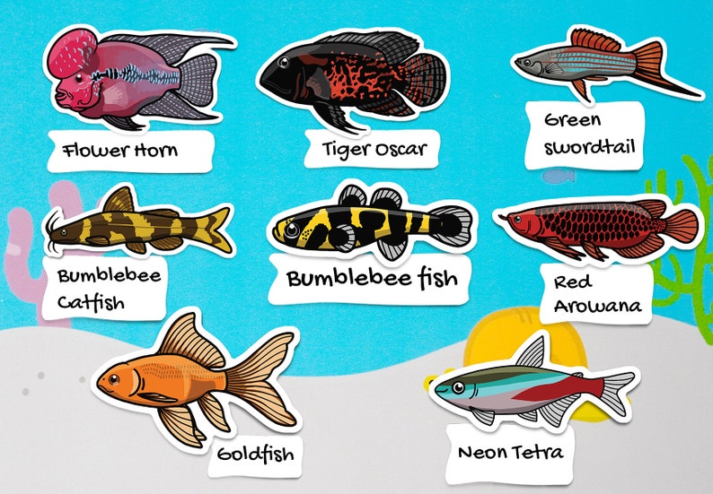 Assorted fish sticker pack waterproof paper sticker, aquarium sticker, decoration, fishkeeper, diary fancy sticker image 5