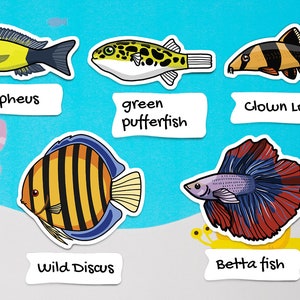 Assorted fish sticker pack waterproof paper sticker, aquarium sticker, decoration, fishkeeper, diary fancy sticker image 3