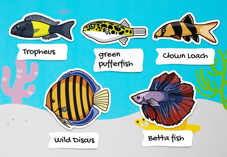 Assorted fish sticker pack waterproof paper sticker, aquarium sticker, decoration, fishkeeper, diary fancy sticker image 3